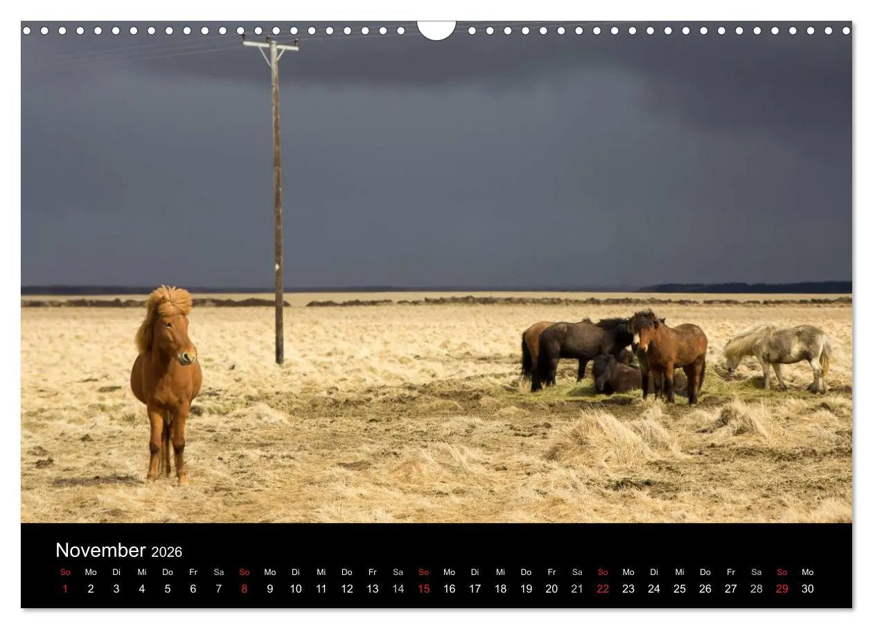 Bild: 9783457993521 | Eindrücklich Island 2026 (Wandkalender 2026 DIN A3 quer), CALVENDO...
