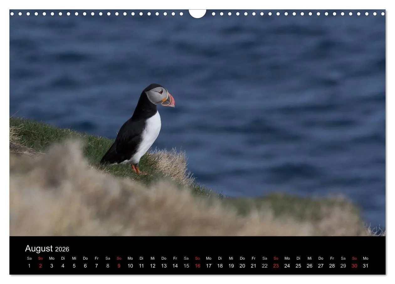 Bild: 9783457993521 | Eindrücklich Island 2026 (Wandkalender 2026 DIN A3 quer), CALVENDO...