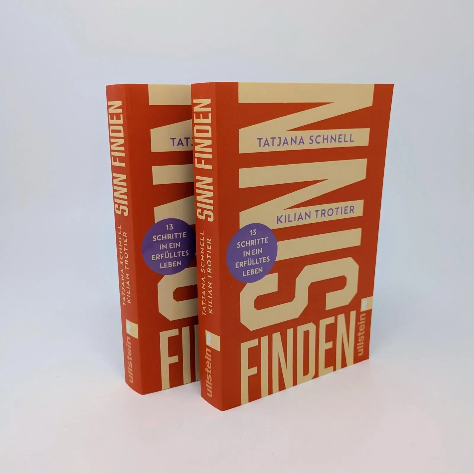 Bild: 9783548073521 | Sinn finden | Tatjana Schnell (u. a.) | Taschenbuch | 304 S. | Deutsch
