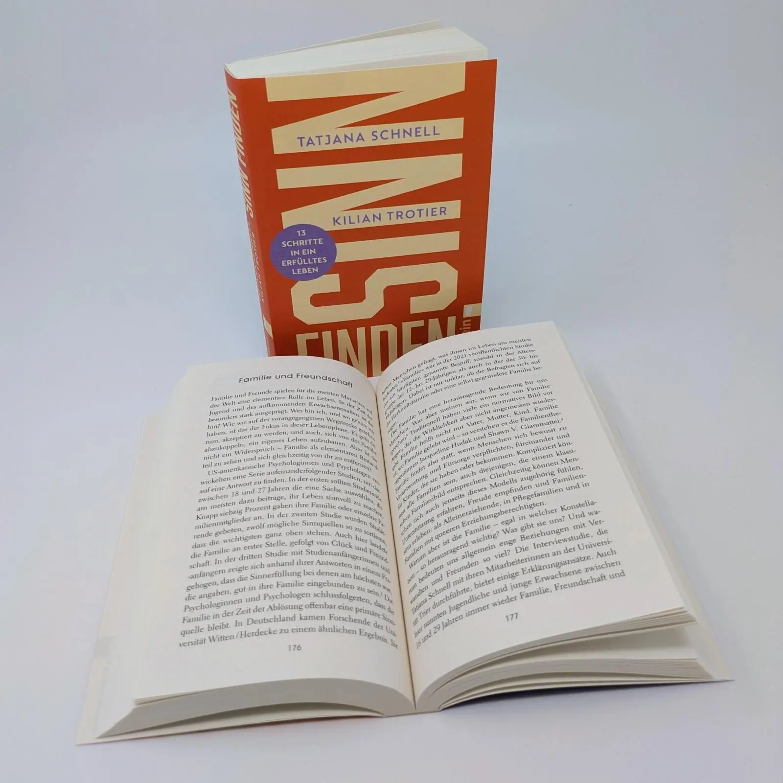Bild: 9783548073521 | Sinn finden | Tatjana Schnell (u. a.) | Taschenbuch | 304 S. | Deutsch