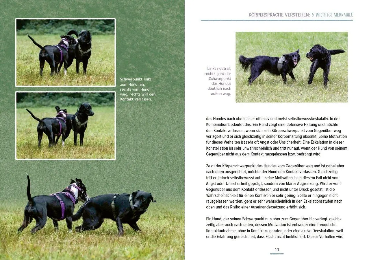 Bild: 9783275023721 | Das Hundesprachbuch | Julia Recker-Nitri | Taschenbuch | 192 S. | 2026