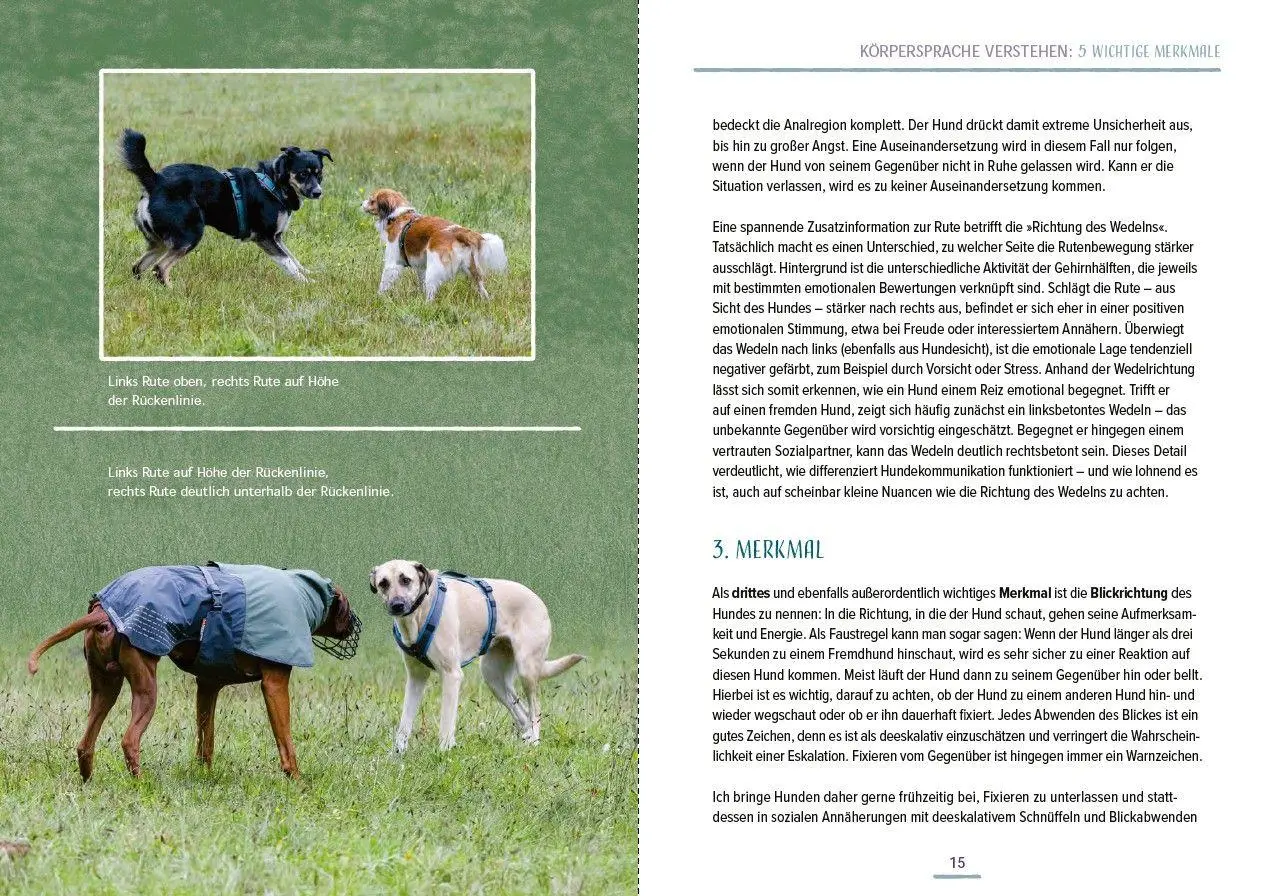Bild: 9783275023721 | Das Hundesprachbuch | Julia Recker-Nitri | Taschenbuch | 192 S. | 2026