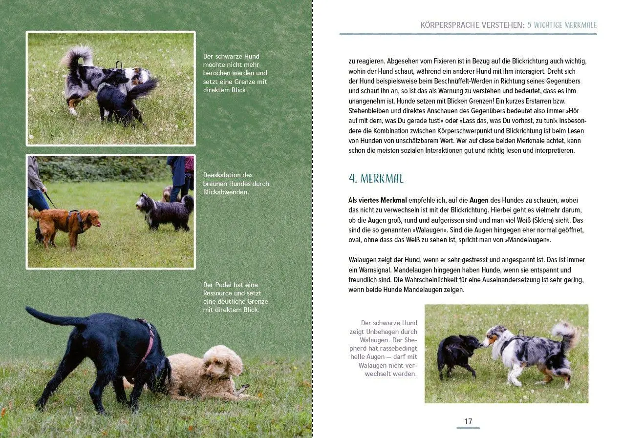 Bild: 9783275023721 | Das Hundesprachbuch | Julia Recker-Nitri | Taschenbuch | 192 S. | 2026