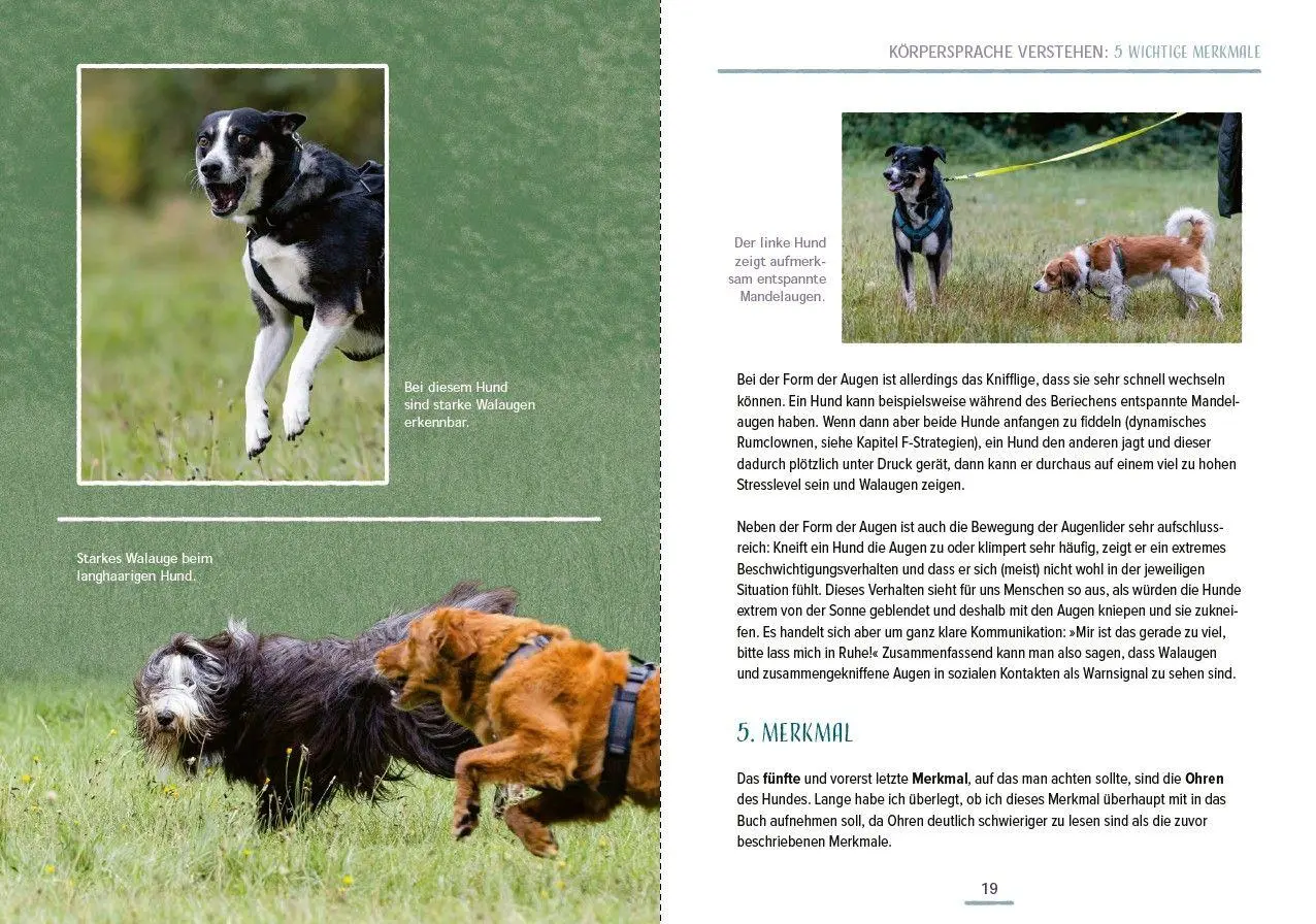 Bild: 9783275023721 | Das Hundesprachbuch | Julia Recker-Nitri | Taschenbuch | 192 S. | 2026