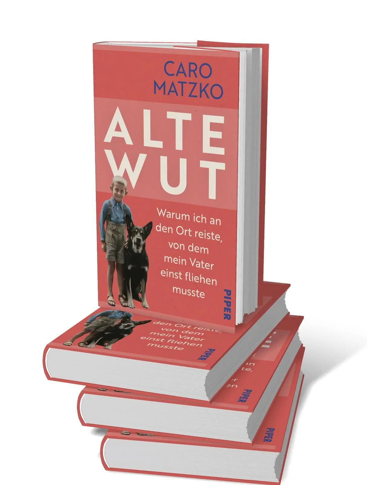 Bild: 9783492073721 | Alte Wut | Caro Matzko | Buch | 224 S. | Deutsch | 2025