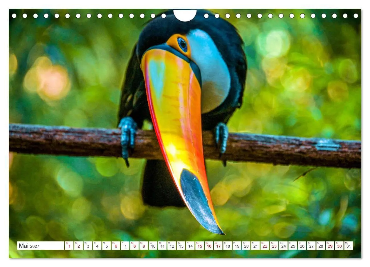 Bild: 9783569533721 | Bilder aus Brasilien (Wandkalender 2027 DIN A4 quer), CALVENDO...