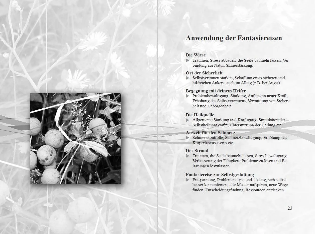 Bild: 9783946723721 | Fantasiereisen | Geschichten zur Meditation | Birgit Schuler | Buch