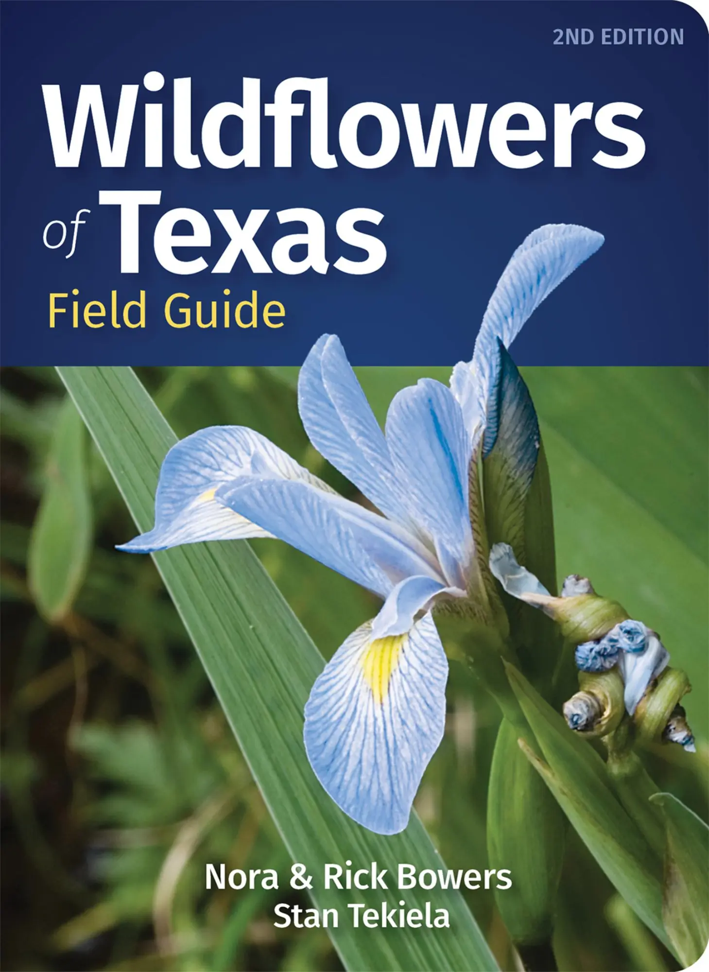 Cover: 9781647553821 | Wildflowers of Texas Field Guide | Nora Bowers (u. a.) | Taschenbuch