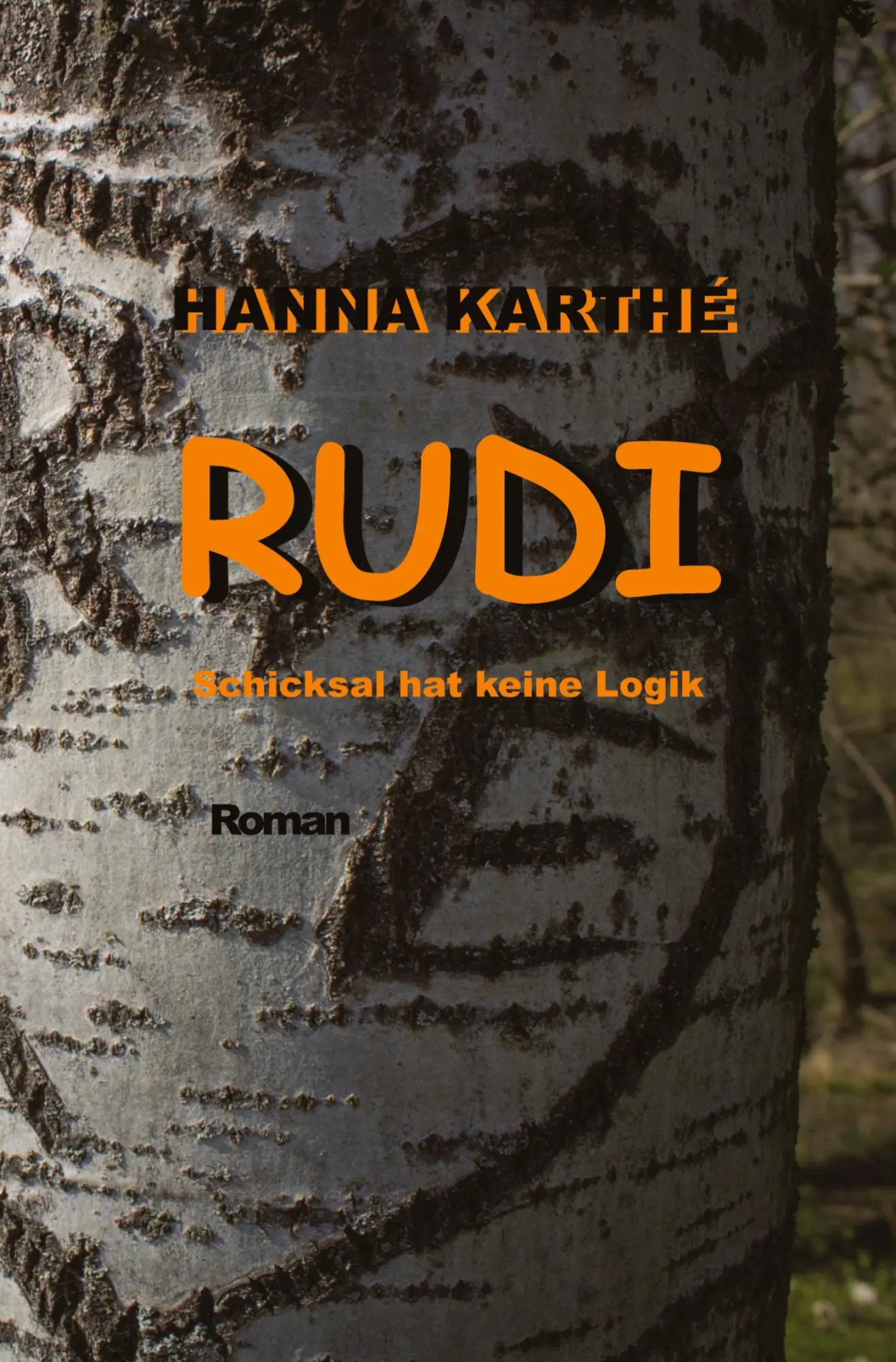 Cover: 9783347693821 | RUDI | Schicksal hat keine Logik | Hanna Karthé | Taschenbuch | 512 S.