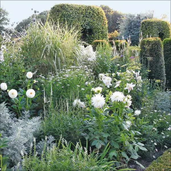 Bild: 9783731883821 | Gartenträume 2026 | Verlag Korsch | Kalender | 13 S. | Deutsch | 2026