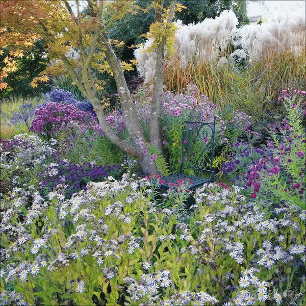Bild: 9783731883821 | Gartenträume 2026 | Verlag Korsch | Kalender | 13 S. | Deutsch | 2026