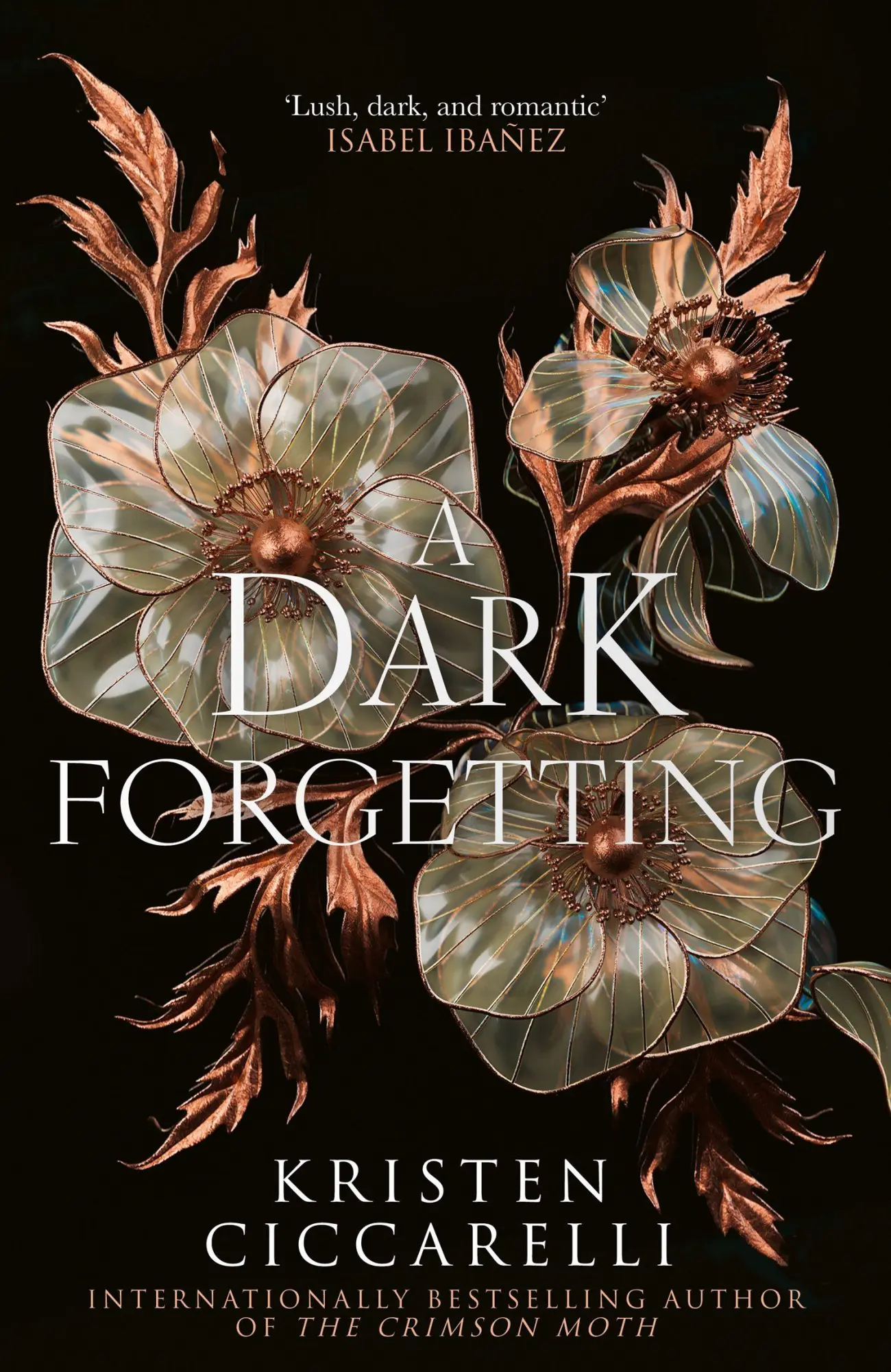 A Dark Forgetting: a sweeping romantasy from the author of global bestseller THE CRIMSON MOTH