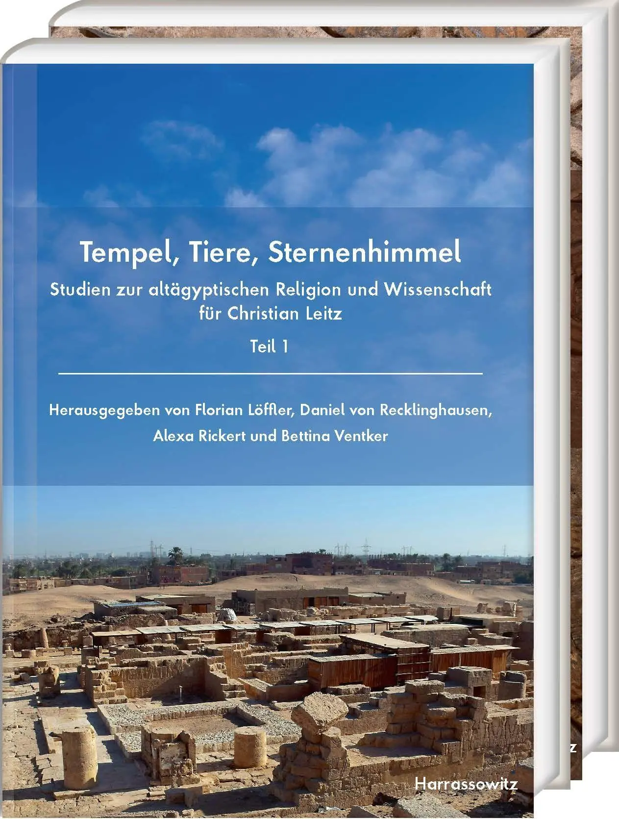 Cover: 9783447123921 | Tempel, Tiere, Sternenhimmel | Florian Löffler (u. a.) | Buch | XIII
