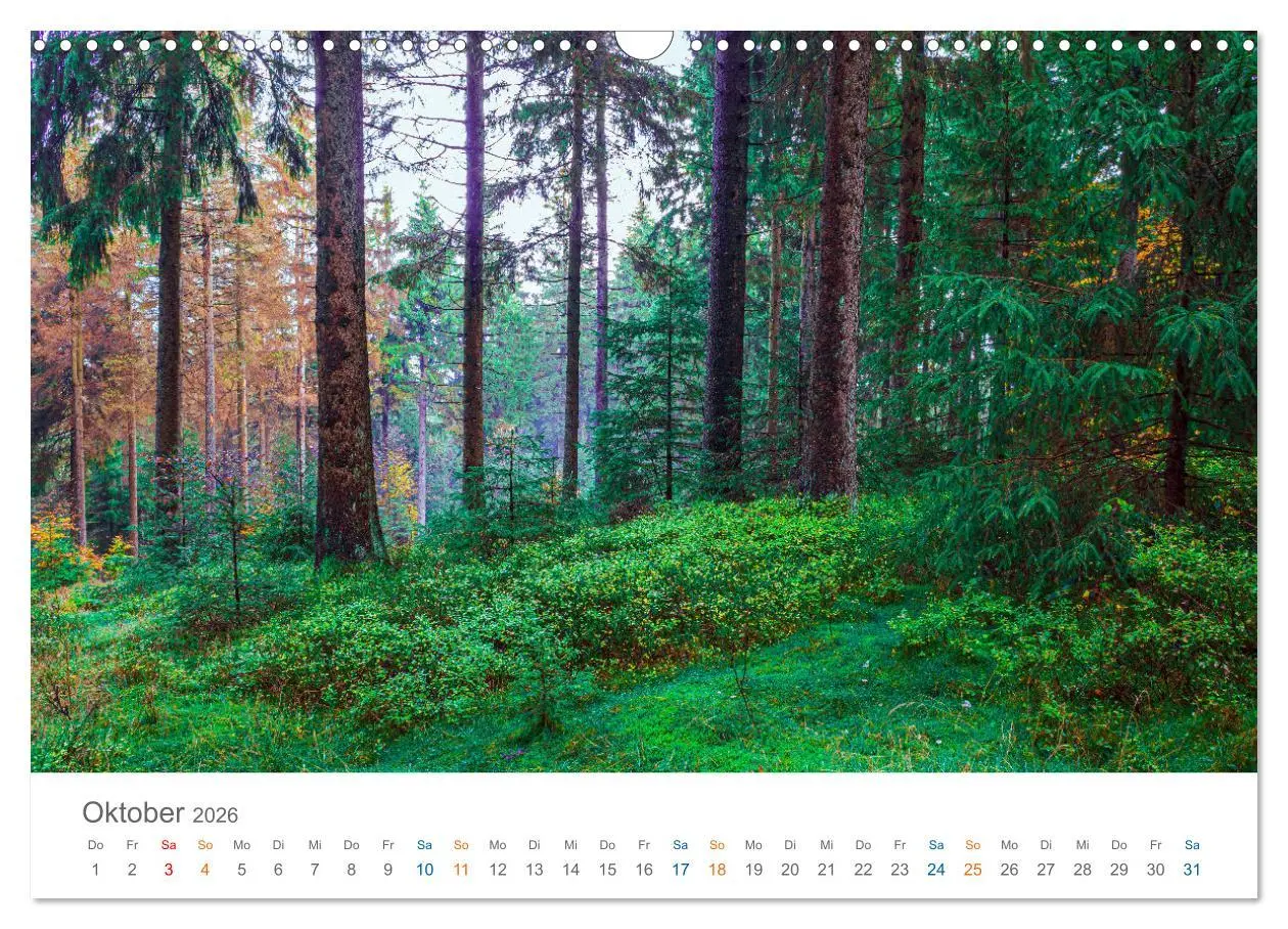 Bild: 9783457403921 | Rennsteig - Weitwanderweg (Wandkalender 2026 DIN A3 quer), CALVENDO...