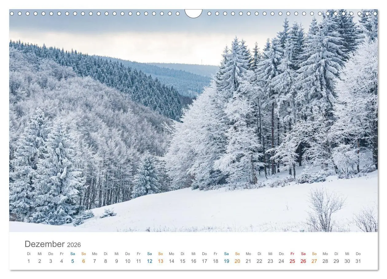 Bild: 9783457403921 | Rennsteig - Weitwanderweg (Wandkalender 2026 DIN A3 quer), CALVENDO...