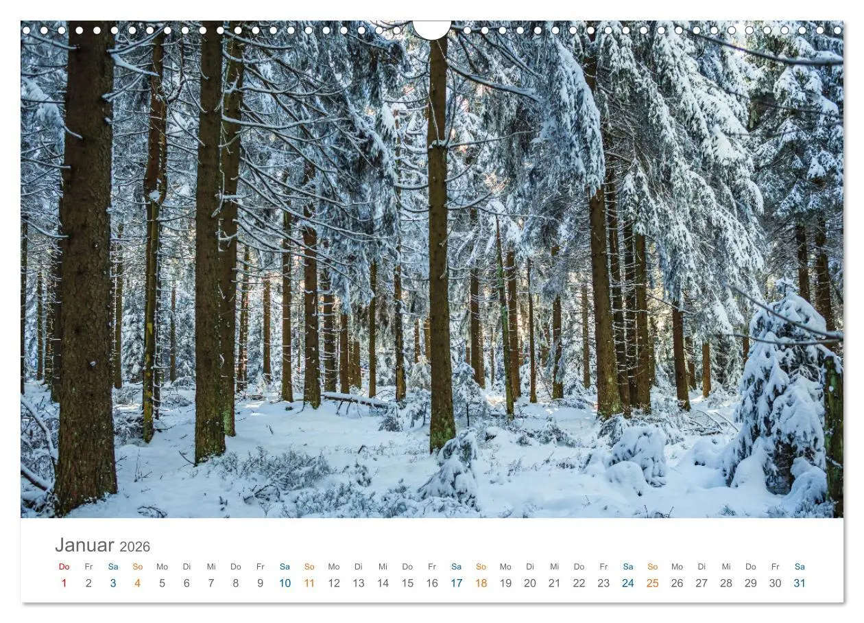 Bild: 9783457403921 | Rennsteig - Weitwanderweg (Wandkalender 2026 DIN A3 quer), CALVENDO...