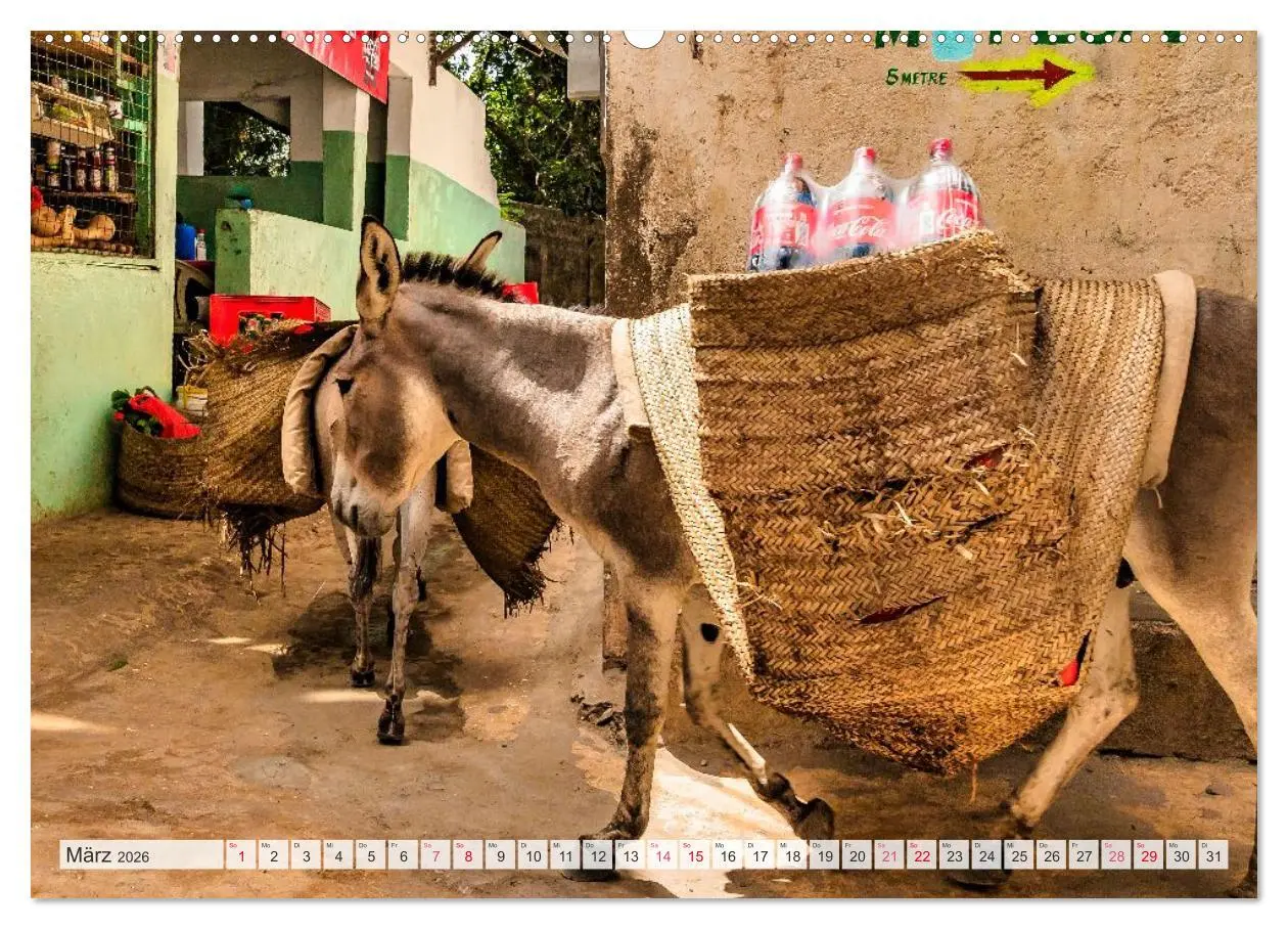Bild: 9783457573921 | lamu - eintauchen in eine andere Welt vor der Küste Kenias...