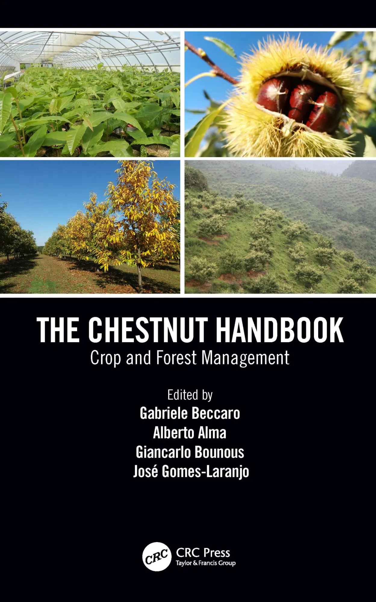 Cover: 9781138334021 | The Chestnut Handbook | Crop &amp; Forest Management | Beccaro (u. a.)