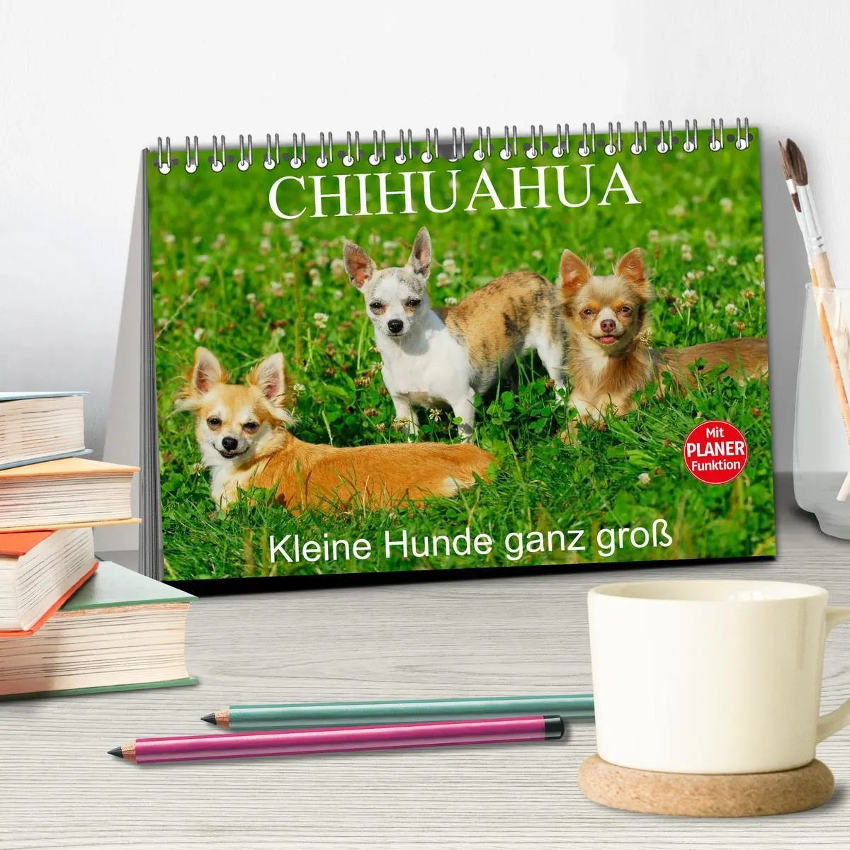 Bild: 9783516004021 | Chihuahua - Kleine Hunde ganz groß (Tischkalender 2026 DIN A5...