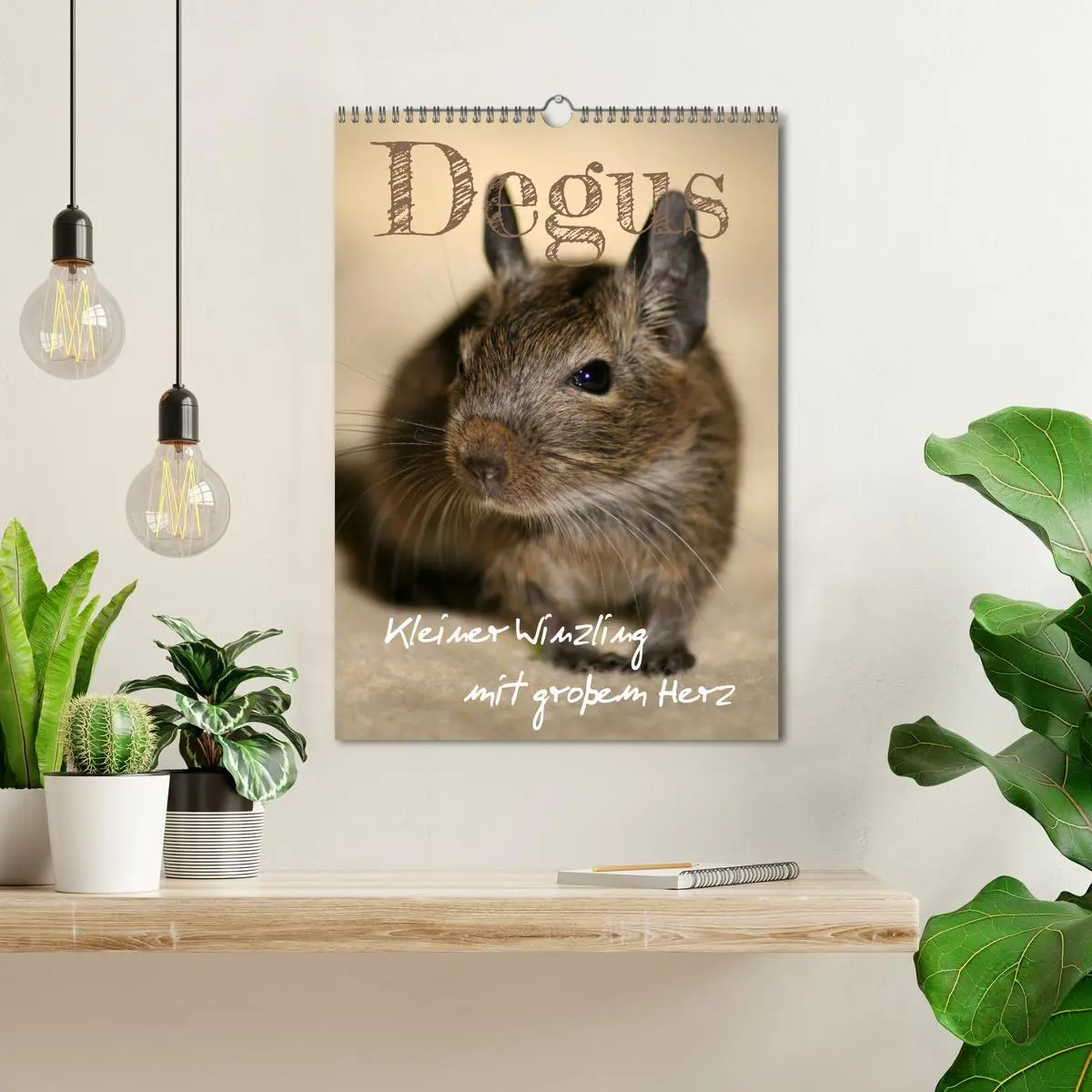 Bild: 9783516314021 | Degus - Winzlinge mit großem Herz (Wandkalender 2026 DIN A3 hoch),...