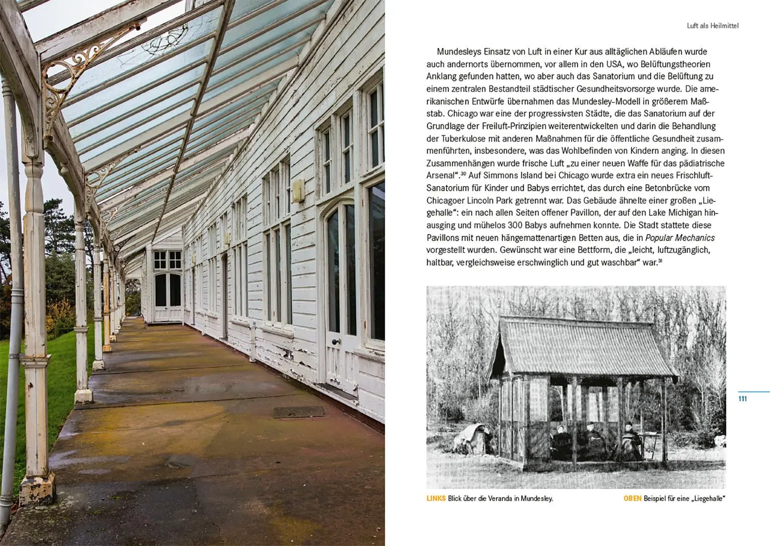 Bild: 9783258084121 | Luft | Eine Kultur- und Naturgeschichte | Peter Adey | Taschenbuch