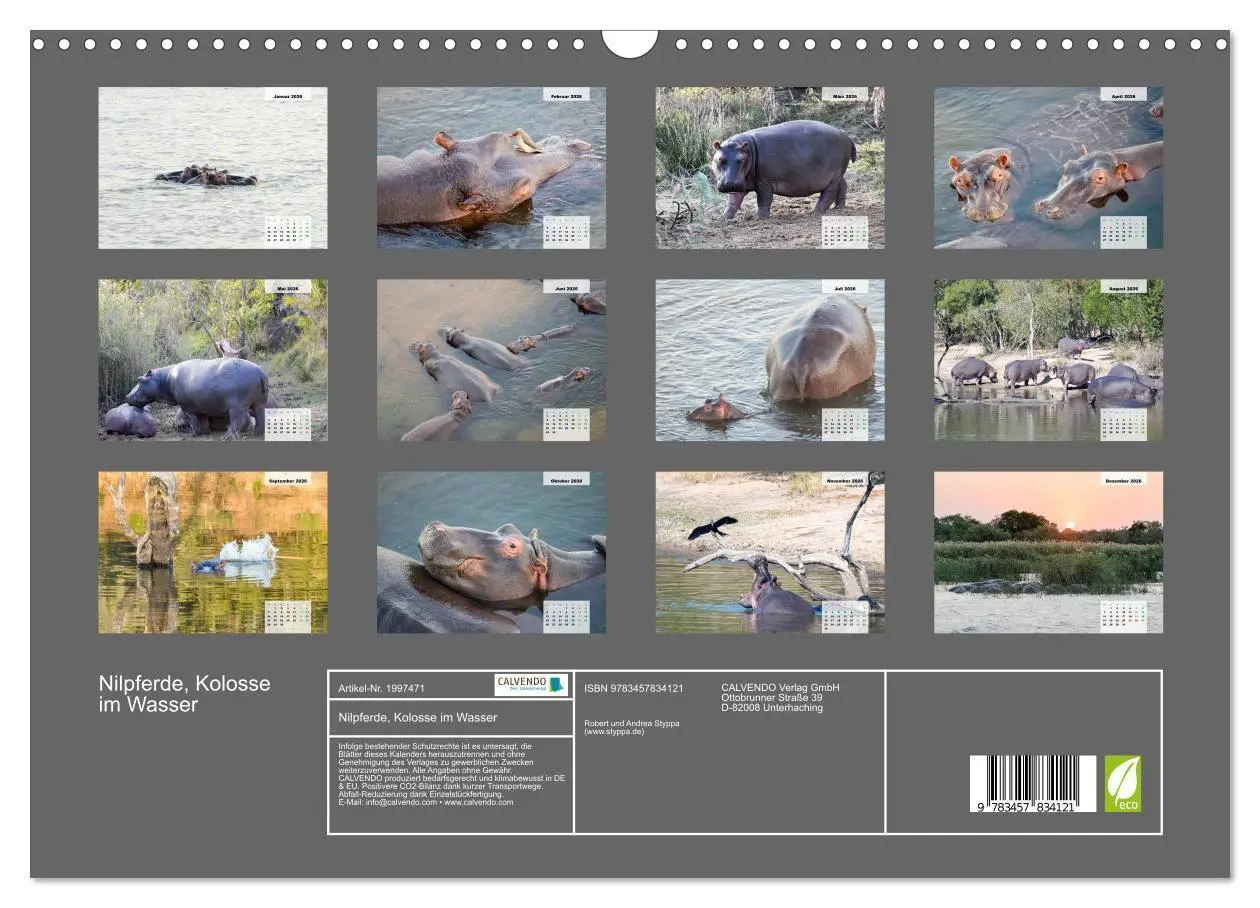 Bild: 9783457834121 | Nilpferde, Kolosse im Wasser (Wandkalender 2026 DIN A3 quer),...
