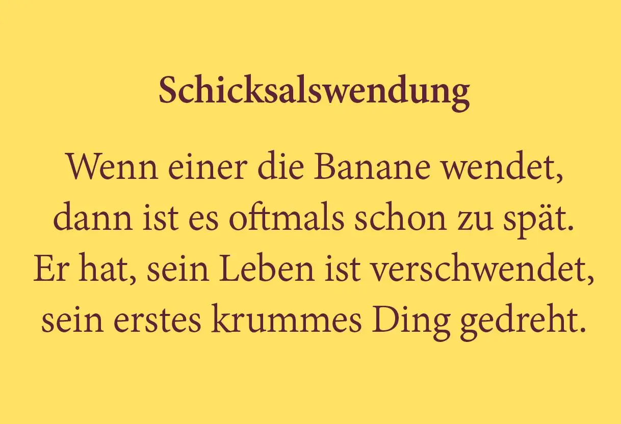 Rückseite: 9783947674121 | Diebesgut sieht mitgenommen aus | Gerd Bießmann | Buch | Deutsch