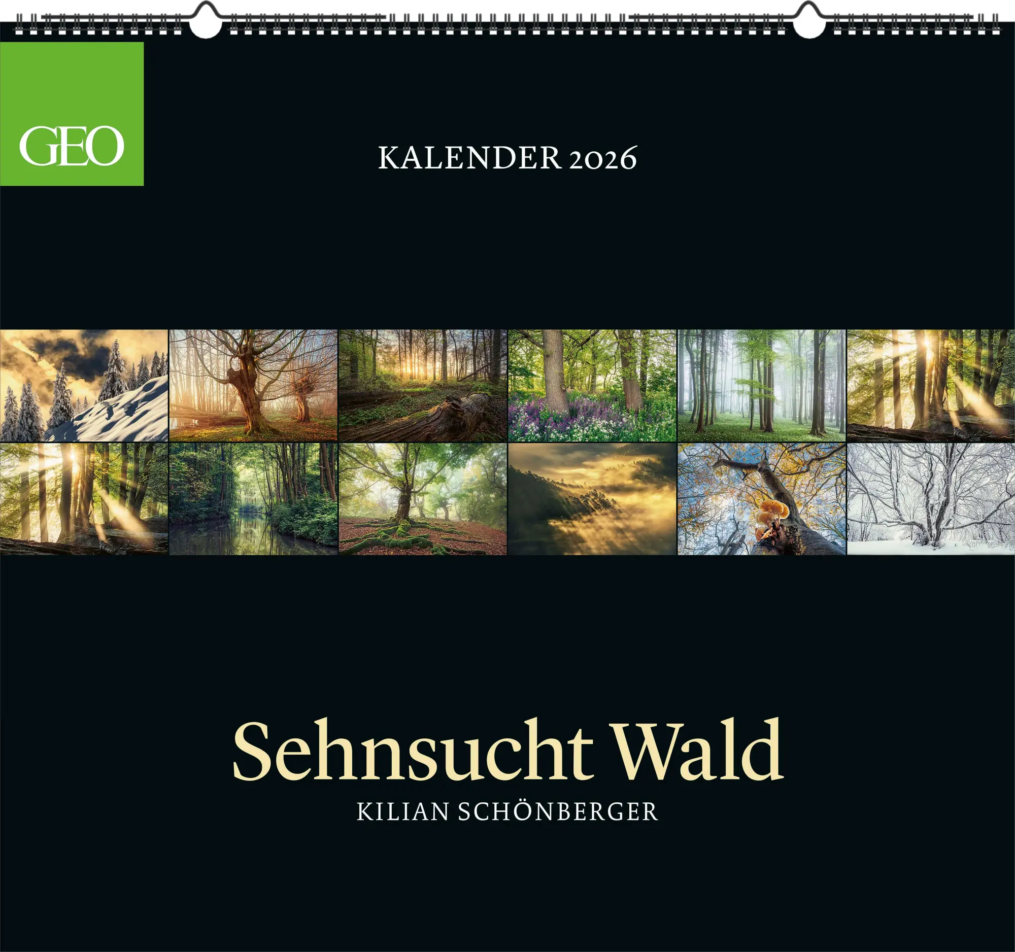 Cover: 4069095004221 | GEO Kalender: Sehnsucht Wald 2026 - Wand-Kalender - Natur-Kalender...