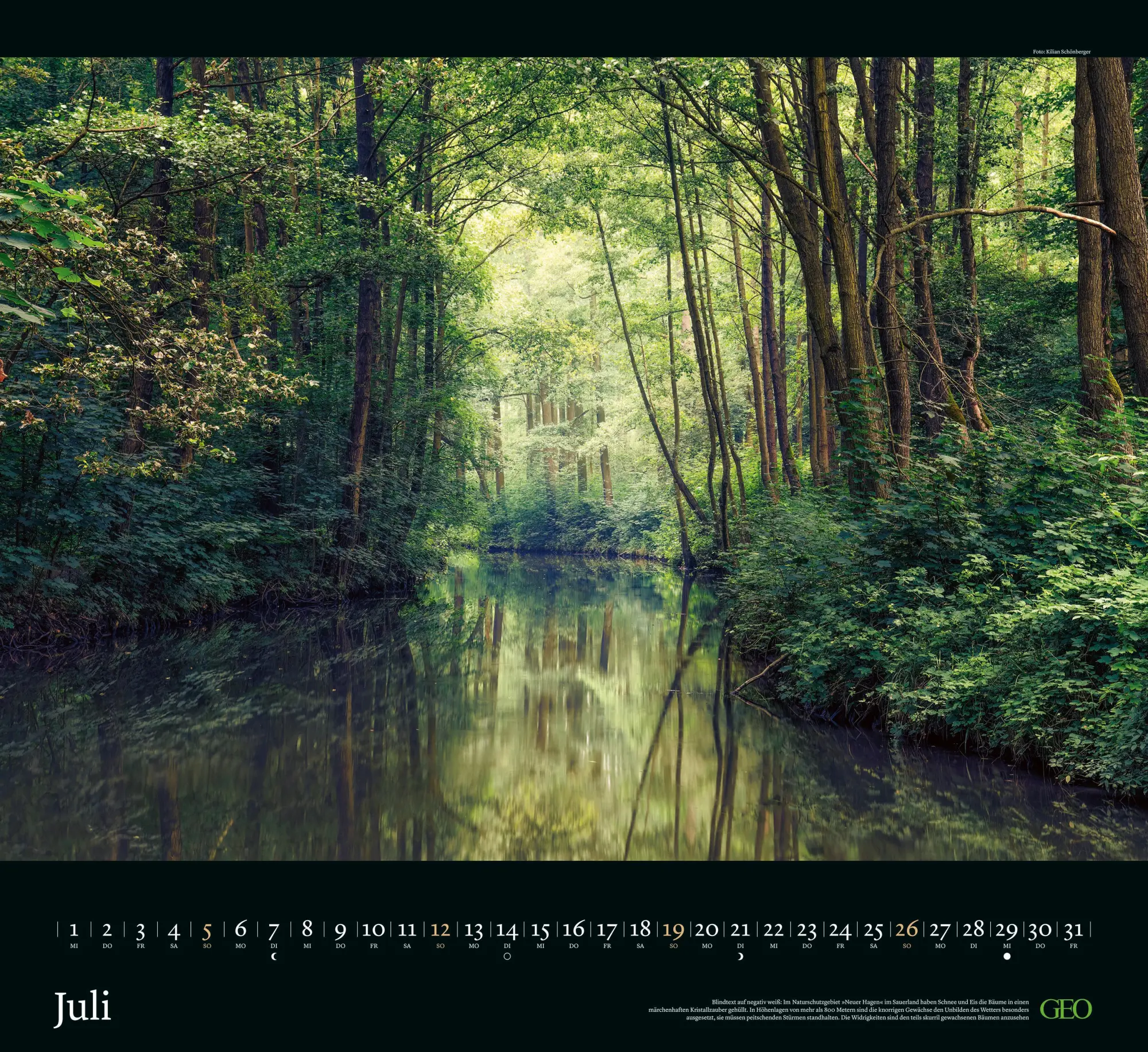 Bild: 4069095004221 | GEO Kalender: Sehnsucht Wald 2026 - Wand-Kalender - Natur-Kalender...
