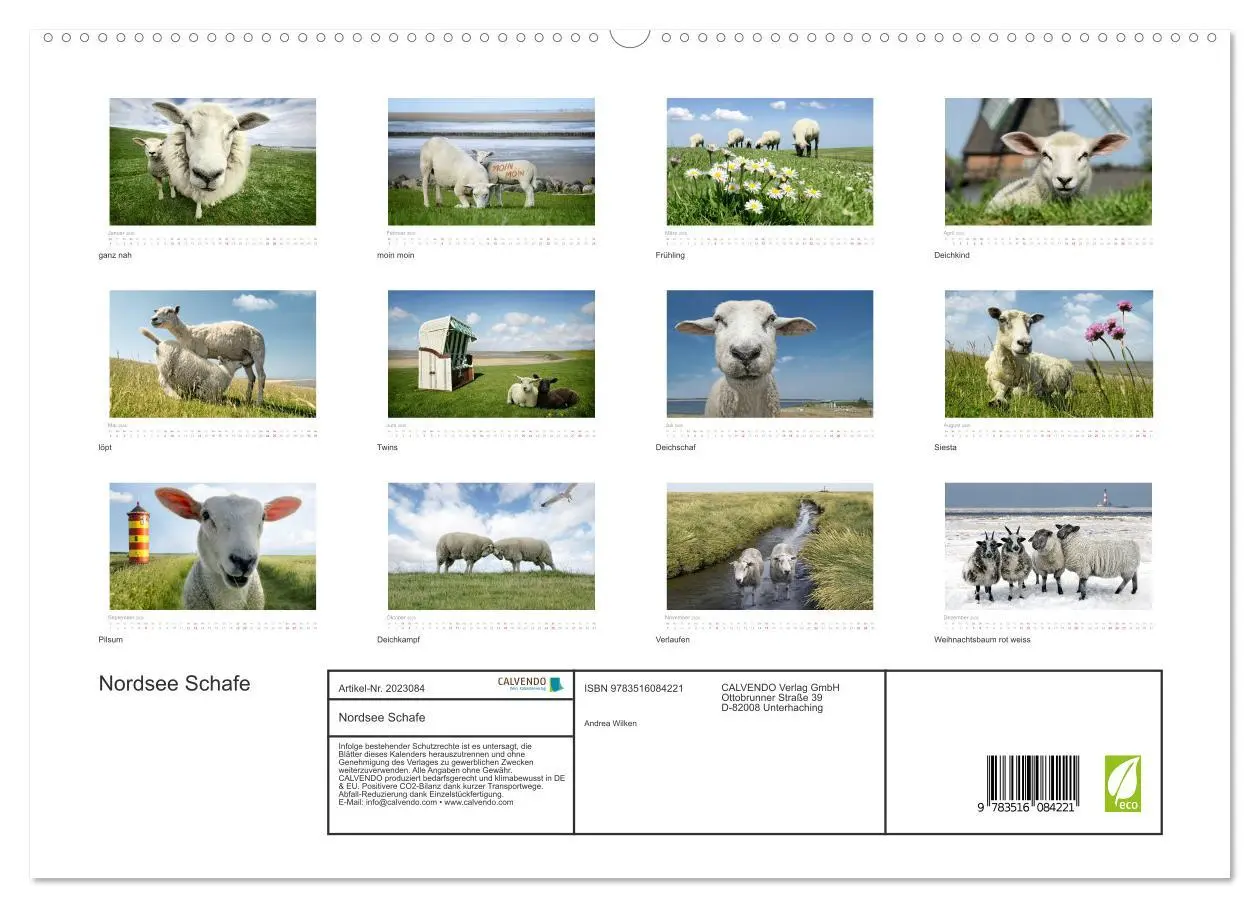 Bild: 9783516084221 | Nordsee Schafe (hochwertiger Premium Wandkalender 2026 DIN A2...