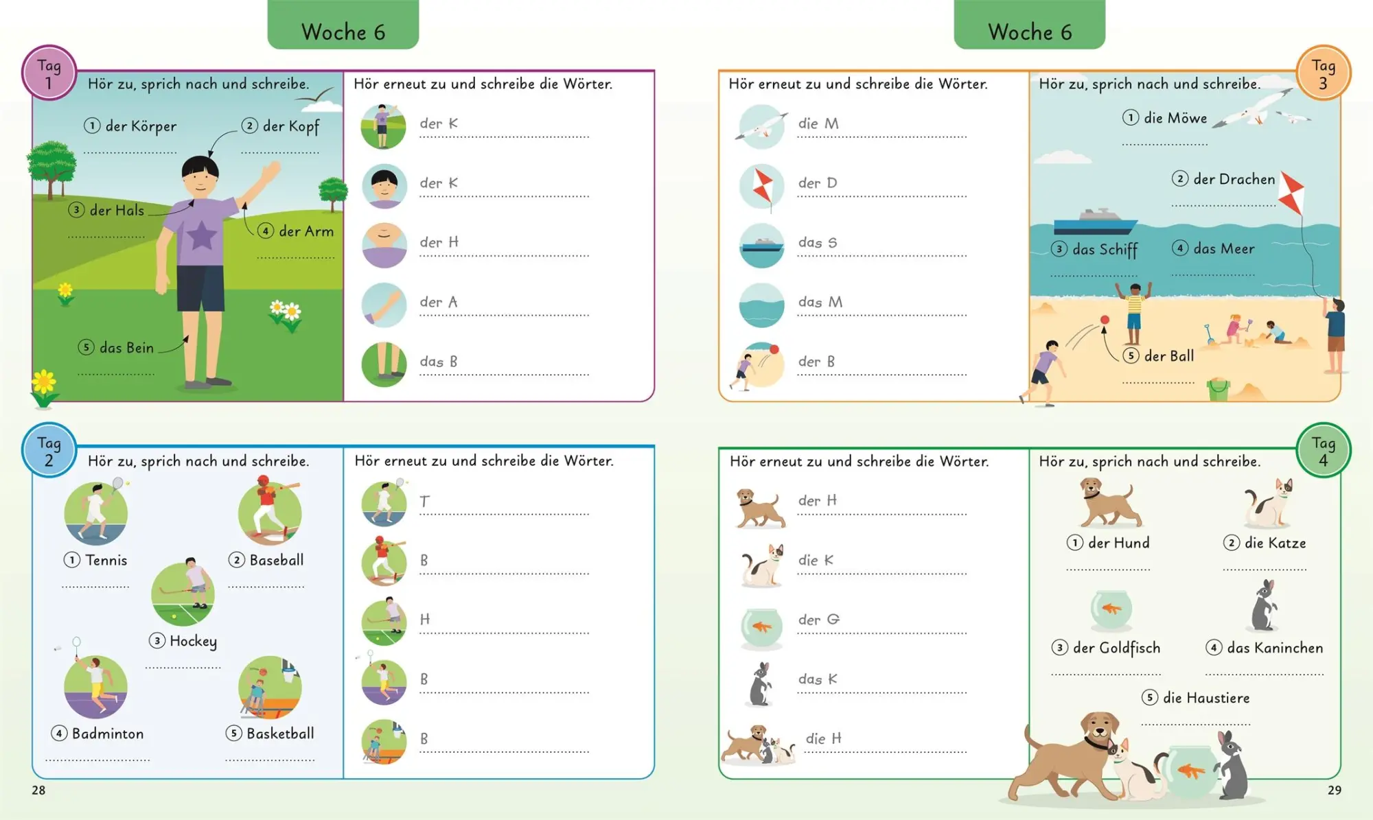 Bild: 9783831044221 | Deutsch für clevere Kids - 5 Wörter am Tag | DK Verlag - Kids | Buch