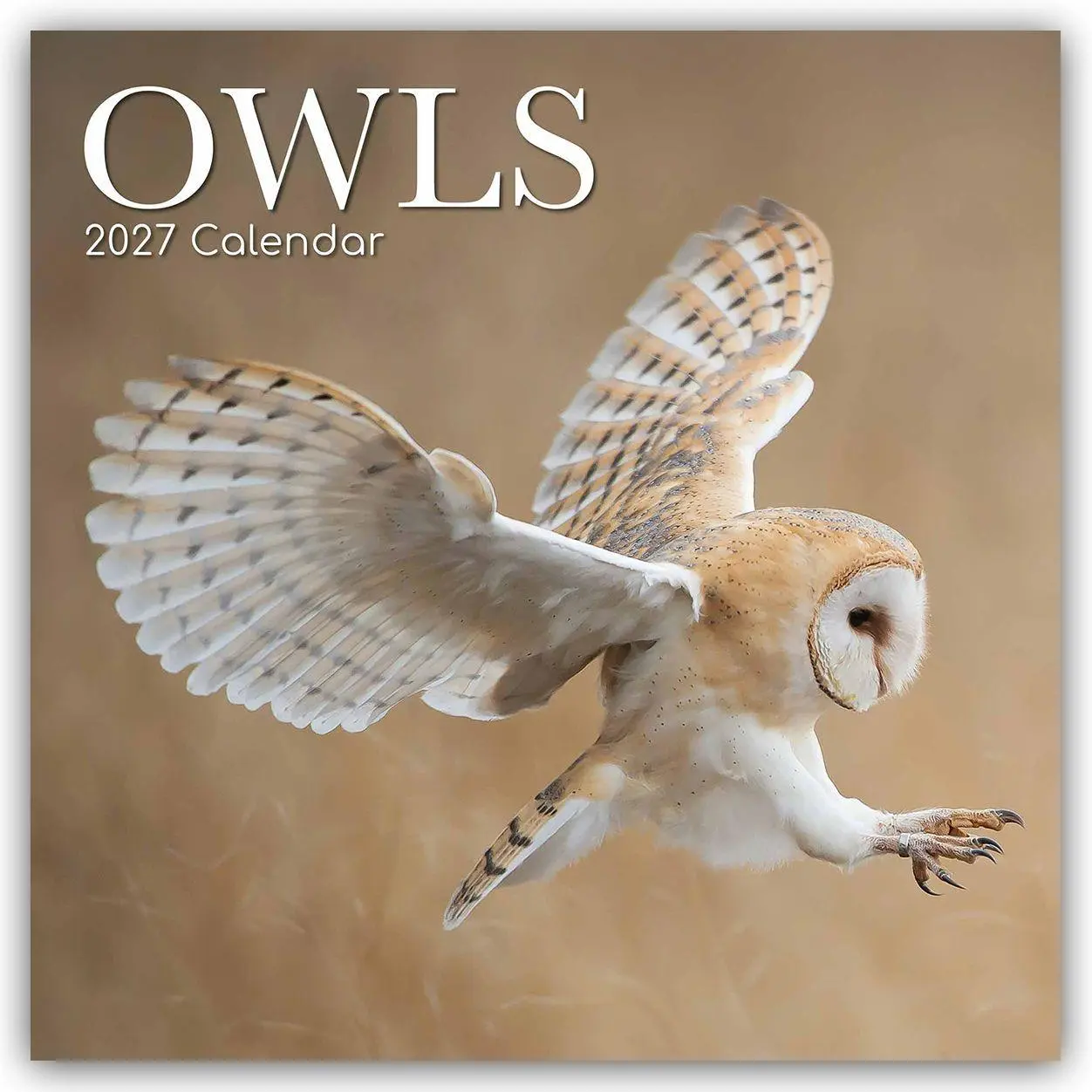 Cover: 9781805974321 | Owls - Eulen 2027 - 16-Monatskalender | Gifted Stationery Co. Ltd