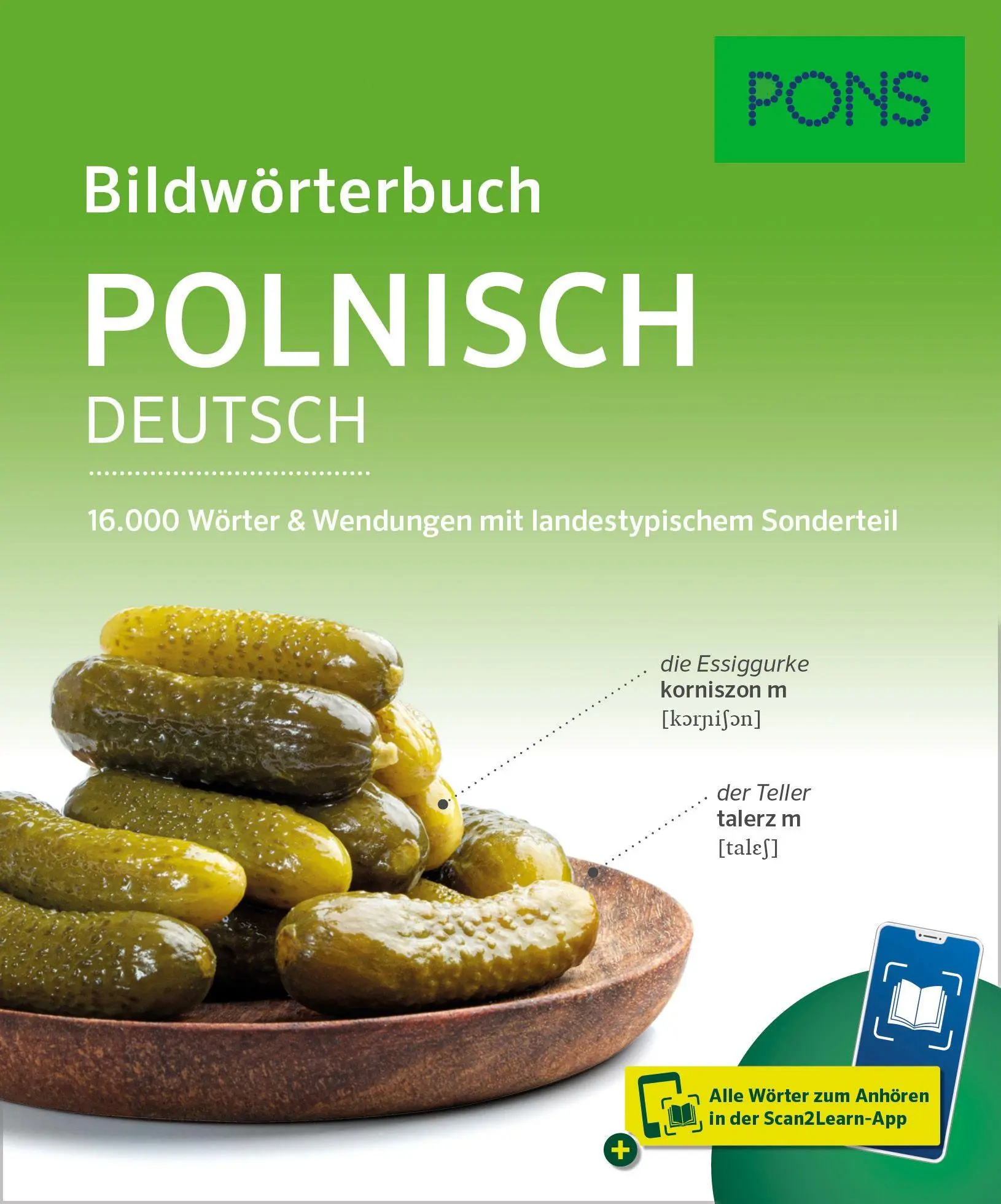 Cover: 9783125164321 | PONS Bildwörterbuch Polnisch | Taschenbuch | PONS Bildwörterbuch