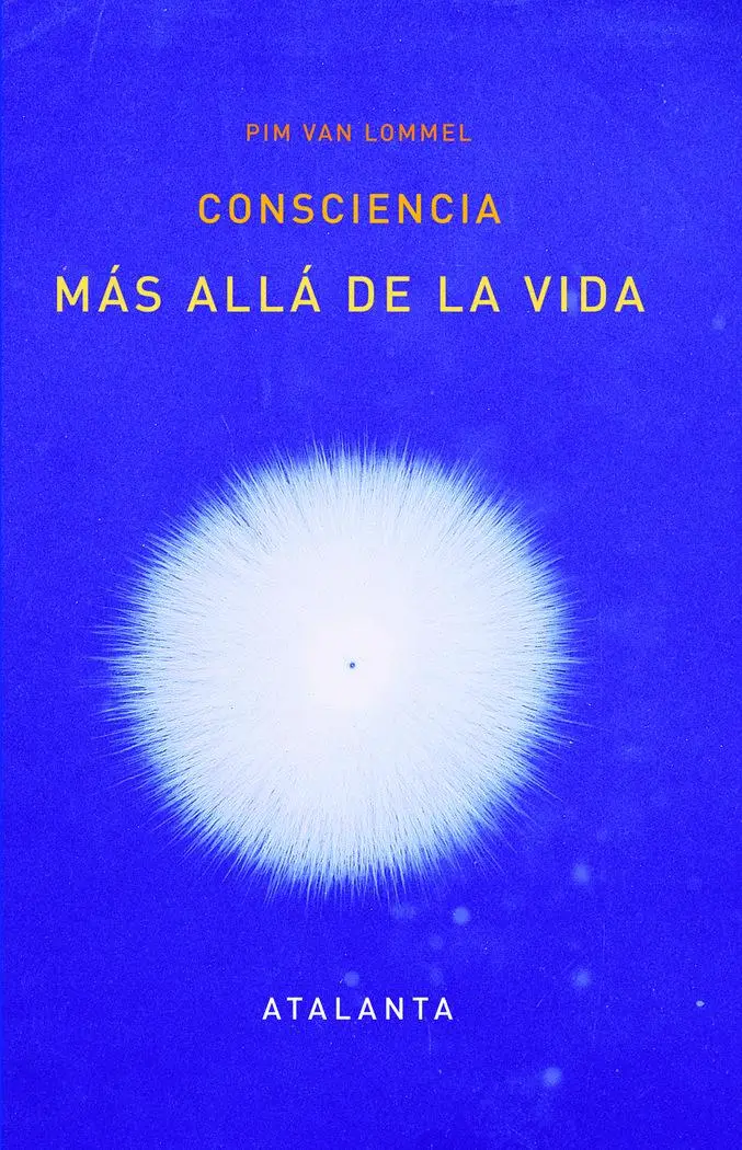 Cover: 9788412074321 | Consciencia más allá de la vida | Taschenbuch | Spanisch