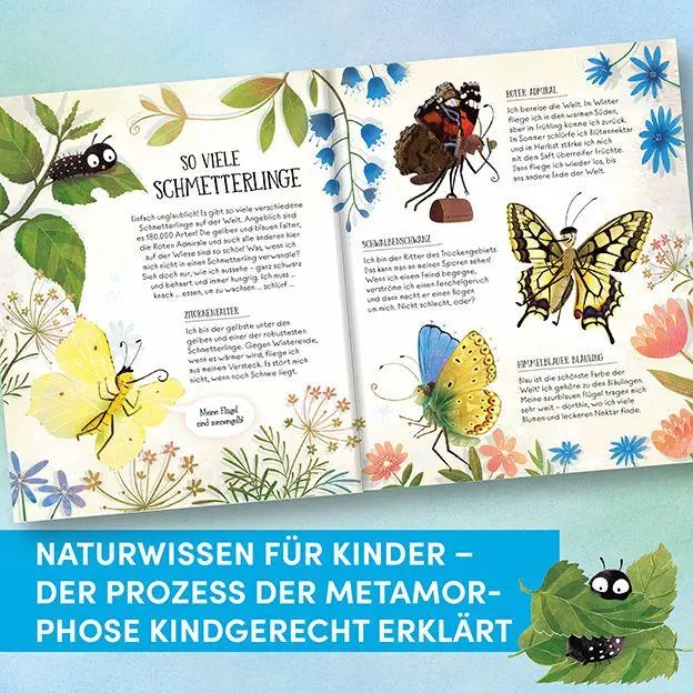 Bild: 9783735854421 | Wie Schmetterlinge leben. Amanda erzählt. | Empfohlen ab 6 Jahren.