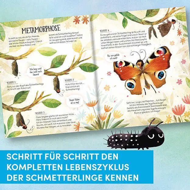 Bild: 9783735854421 | Wie Schmetterlinge leben. Amanda erzählt. | Empfohlen ab 6 Jahren.