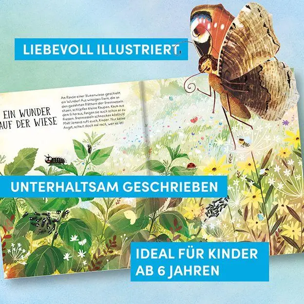 Bild: 9783735854421 | Wie Schmetterlinge leben. Amanda erzählt. | Empfohlen ab 6 Jahren.