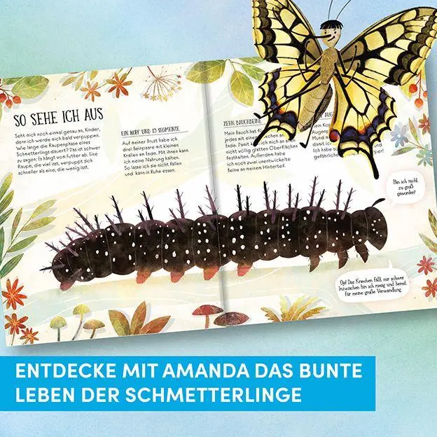 Bild: 9783735854421 | Wie Schmetterlinge leben. Amanda erzählt. | Empfohlen ab 6 Jahren.