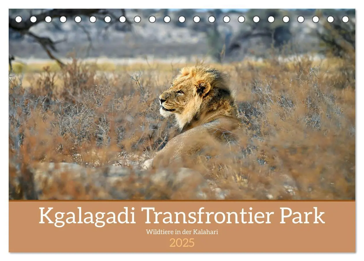 Cover: 9783435014521 | Kgalagadi - Fauna und Wildtiere in der Kalahari (Tischkalender 2025...