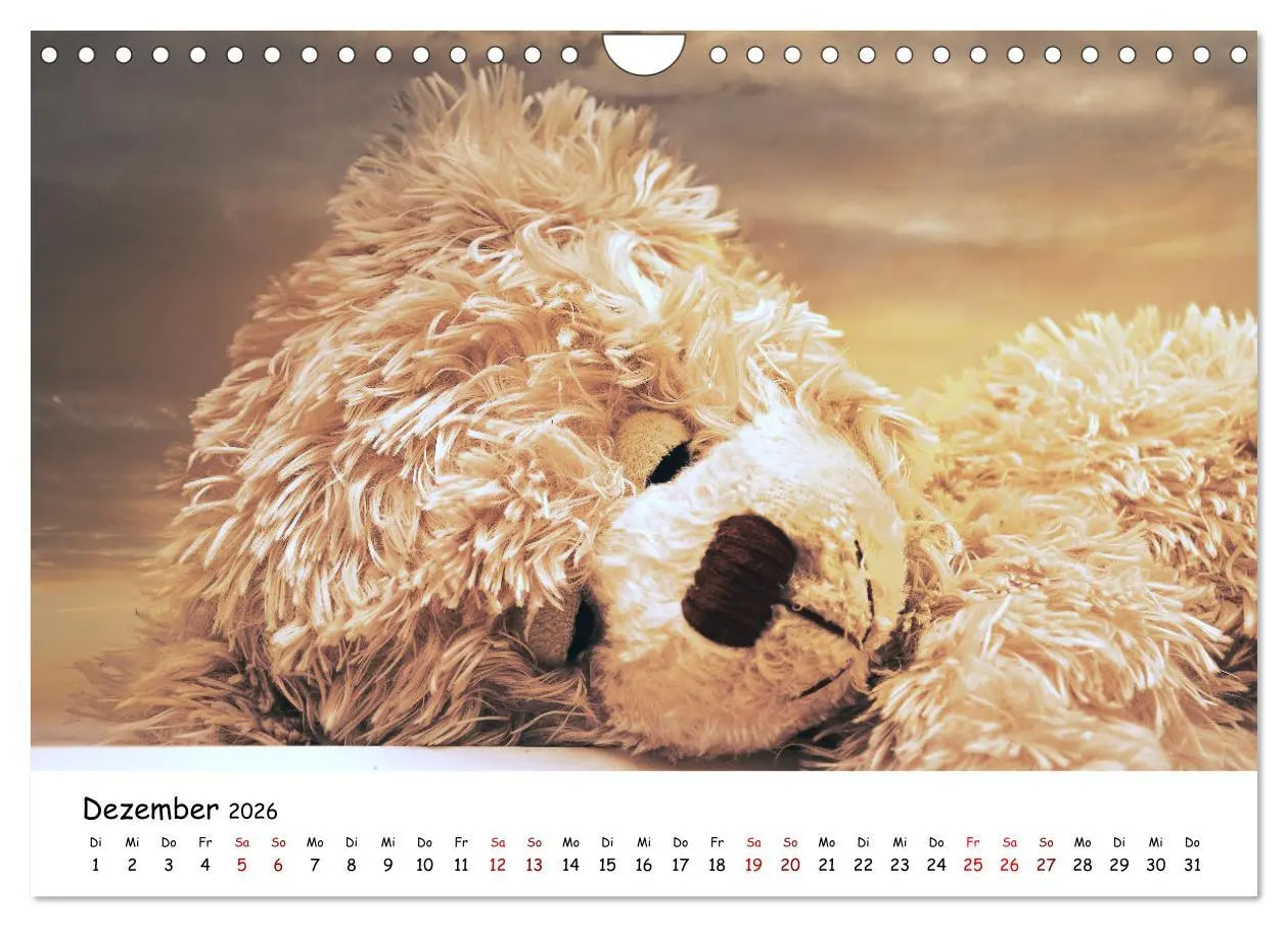 Bild: 9783457584521 | Allerliebste Teddybären (Wandkalender 2026 DIN A4 quer), CALVENDO...
