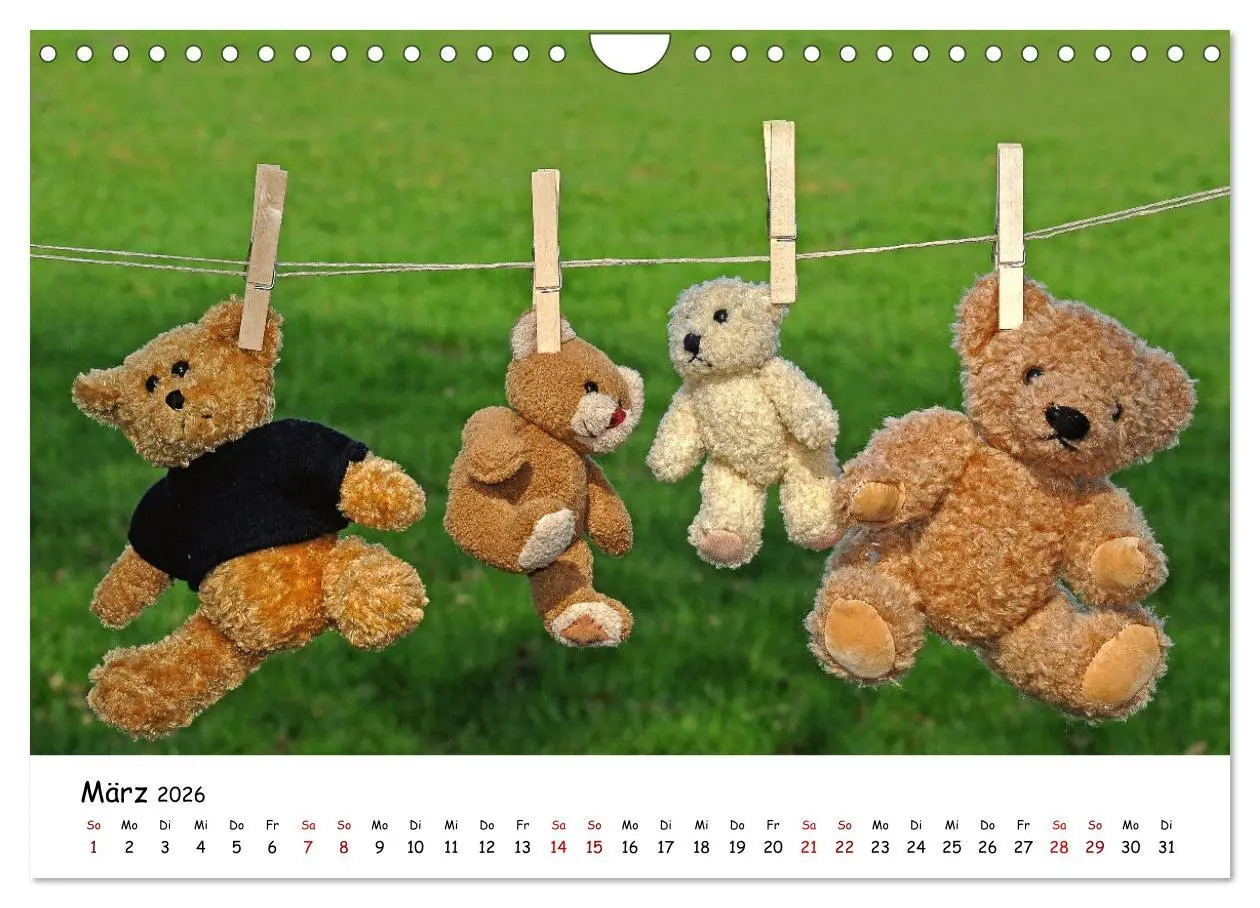 Bild: 9783457584521 | Allerliebste Teddybären (Wandkalender 2026 DIN A4 quer), CALVENDO...