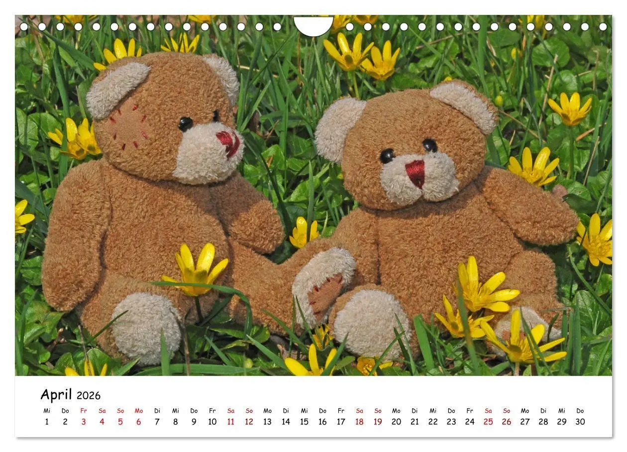 Bild: 9783457584521 | Allerliebste Teddybären (Wandkalender 2026 DIN A4 quer), CALVENDO...