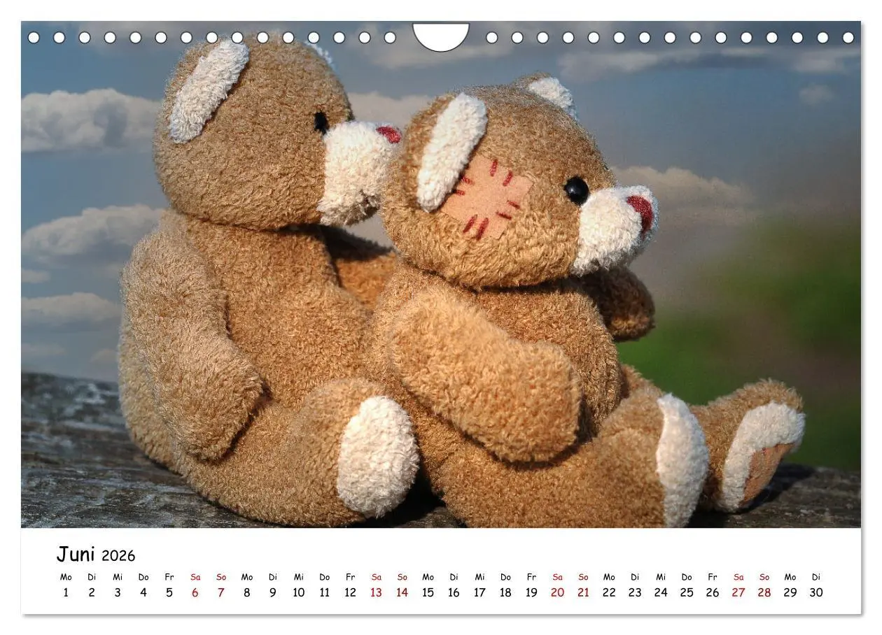 Bild: 9783457584521 | Allerliebste Teddybären (Wandkalender 2026 DIN A4 quer), CALVENDO...
