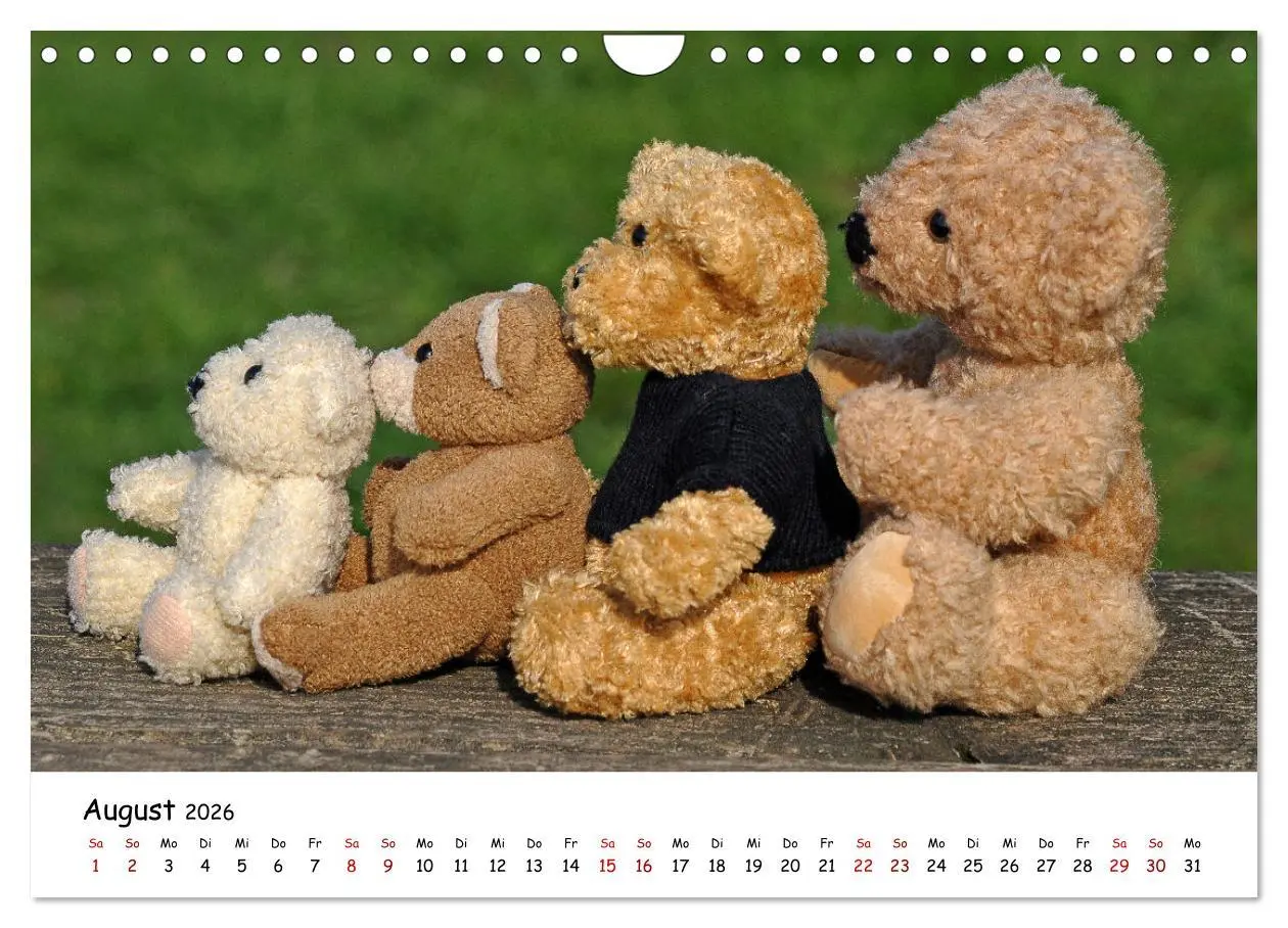 Bild: 9783457584521 | Allerliebste Teddybären (Wandkalender 2026 DIN A4 quer), CALVENDO...