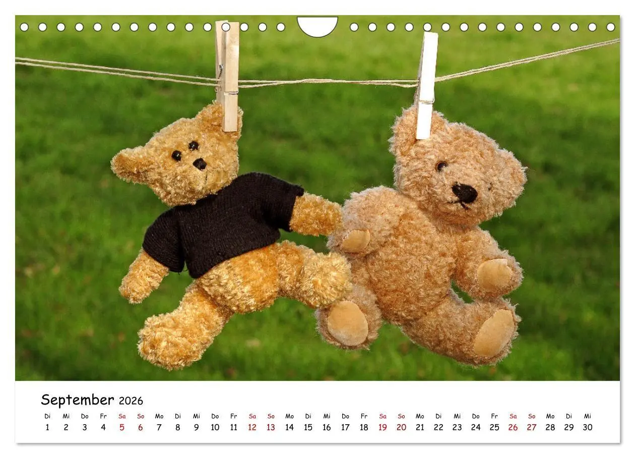 Bild: 9783457584521 | Allerliebste Teddybären (Wandkalender 2026 DIN A4 quer), CALVENDO...