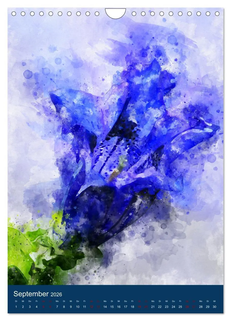 Bild: 9783516364521 | Wilde Blumen - Illustrierter Blütenzauber der Pflanzenwelt...
