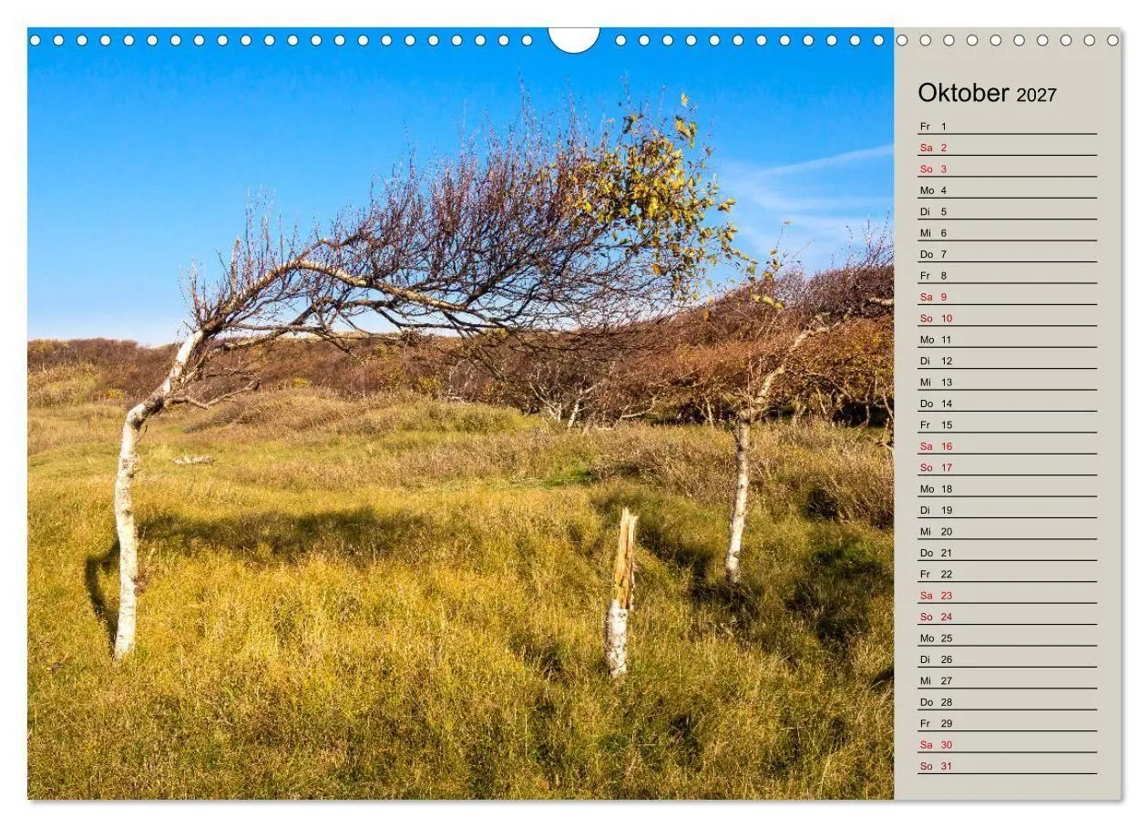 Bild: 9783569764521 | NORDERNEY Geburtstagskalender mit Planerfunktion (Wandkalender 2027...