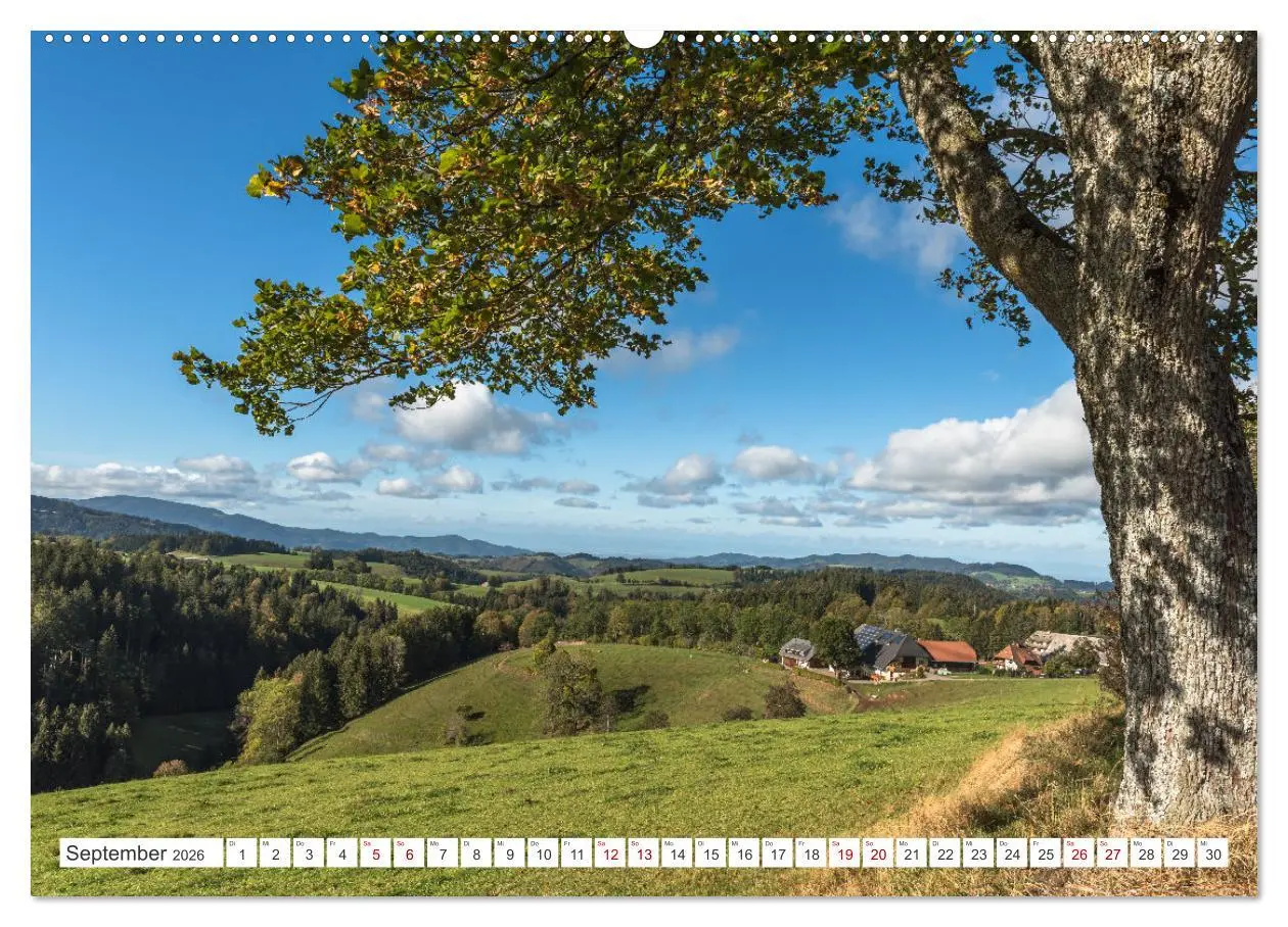 Bild: 9783457404621 | Schwarzwald (Wandkalender 2026 DIN A2 quer), CALVENDO Monatskalender