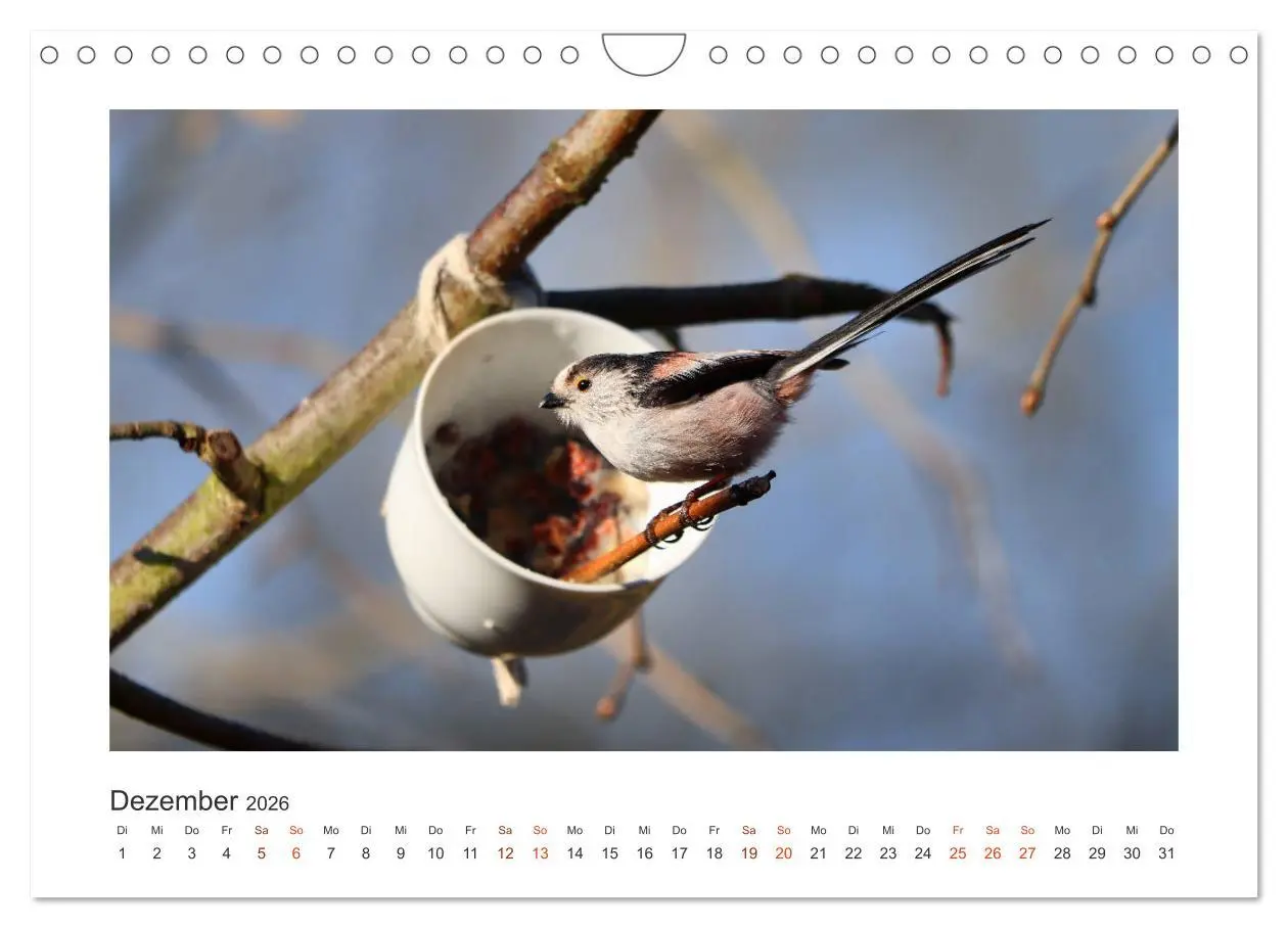 Bild: 9783457714621 | Gefiederte Gartengäste, Schwanzmeisen (Wandkalender 2026 DIN A4...