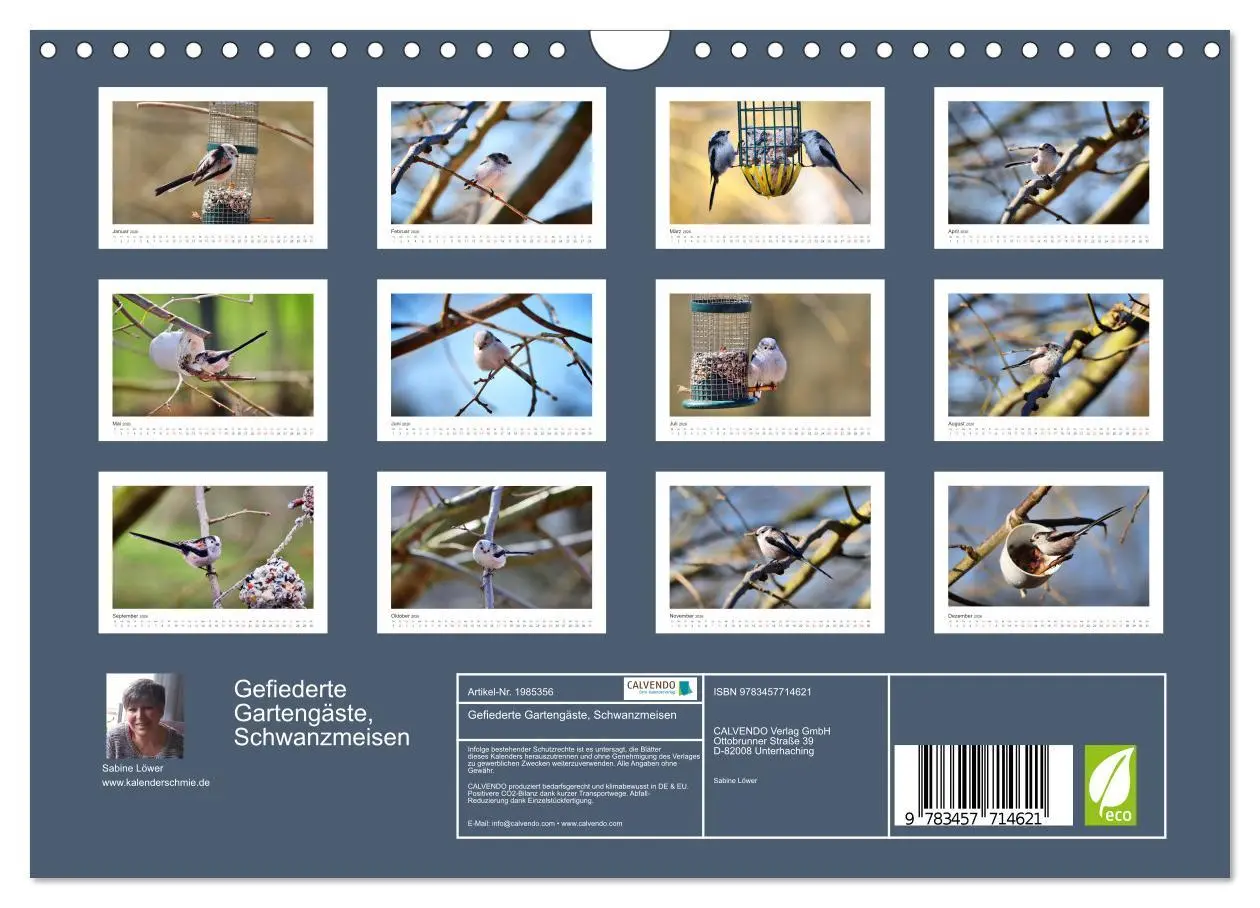 Bild: 9783457714621 | Gefiederte Gartengäste, Schwanzmeisen (Wandkalender 2026 DIN A4...